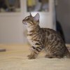 050416_sans titre_040-24